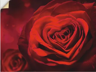 Produktbild von ARTland Wandbild, selbstklebend Valentinseinladung mit Herzen und Rosen Größe: 60x45 cm