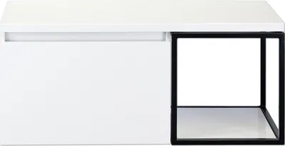 Produktbild von Sanox Waschtischunterschrank Frozen BxHxT 100 x 43,6 x 45 cm Frontfarbe weiß hochglanz Regal schwarz matt