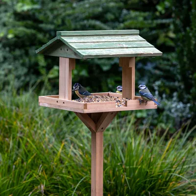 Produktbild von Gifts4Nature Futterhaus für Gartenvögel, grün