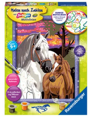 Obrázok produktu pre Ravensburger 28568, 1 strany, Obrazy v balení, Chlapec / dievča, Súprava farieb s číslami