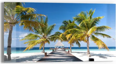 Produktbild von DEQORI Glasbild Echtglas 60x30 cm 'Tropischer Strandaufgang' Wandbild Bild modern Deko