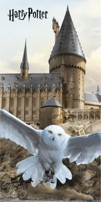 Produktbild von Strandtuch Hedwig aus Harry Potter