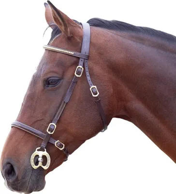 Image de Blenheim - Bridon, frontal, cuir ER582 (Poney) (Marron)