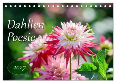 Immagine prodotto di Dahlien Poesie (calendario da tavolo 2027, formato DIN A5 orizzontale), calendario mensile CALVENDO