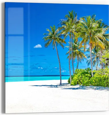 Produktbild von DEQORI Glasbild Echtglas 30x30 cm 'Palmenstrand Panorama' Wandbild Bild modern Deko