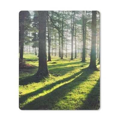 Produktbild von MuchoWow® Mauspad Mousepad Bäume - Natur - Wald 30x40 cm - Mousepads - Maus Mat - Pad - Mausunterlage - Mausmatten