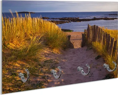 Produktbild von Wallario Schlüsselbrett aus Glas, Motiv: Weg durch die Dünen zum Meer an der Küste, 30 x 20 cm mit 4 Haken