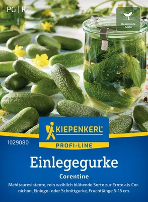 Produktbild von Kiepenkerl Einlegegurkensamen Corentine F1 Cucumis sativus 25 Pflanzen
