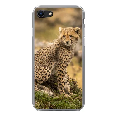Produktbild von MuchoWow® Handyhülle Schutzhülle Hülle für iPhone SE 2020 Leopard - Wald - Tier Silikon Softcase Handy Hülle - Kartenbesitzer
