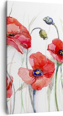 Produktbild von Bild auf Leinwand - Leinwandbild - Blume Mohn Wiese - 45x80cm - Wand Bild - Wanddeko - Wandbilder - Leinwanddruck - Bilder - Kunstdruck - Wanddekoration - Leinwand bilder - Wandkunst - PA45x80-3584