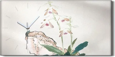 Produktbild von Küche Wohnzimmer Wand Leinwand Uhr Geräuschlos 60x30 Insekten und Blumen - weiße Hände