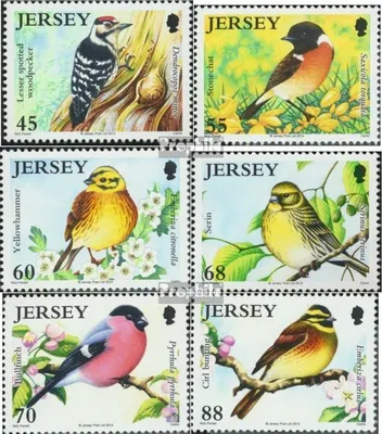 Produktbild von Briefmarken GB - Jersey 2012 Mi 1662-1667 (kompl.Ausg.) postfrisch Bedrohte Vögel