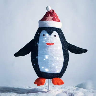 Immagine prodotto di ACA Decorazione natalizia illuminata a forma di pinguino, 40 LED, alimentata a batterie (3xAA), timer, luce bianca fredda, IP44, 66x32x72 cm X07402165