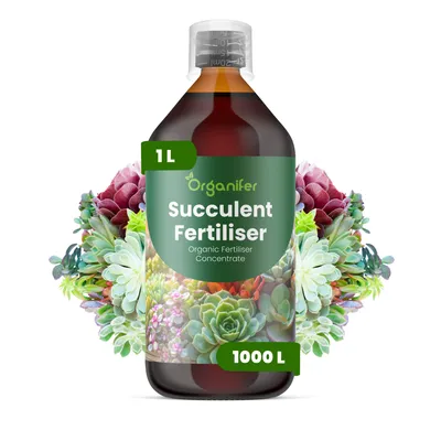 Obrázek produktu pro Tekuté Hnojivo pro Sukulenty 1 L – 2-1-8 NPK – Pro Sukulenty – Pro Zdravý Růst, Silné Kořeny & Robustné Listy – Organifer