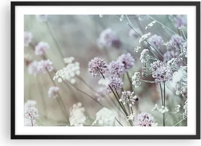 Produktbild von Gerahmtes Poster - Schwarzer Rahmen - Wiese Knoblauch Blume - 70x50 cm - Wand Bild - Wanddeko - Wandbilder - Kunstposter - Wandposter - Bilderrahmen - Bilder - Kunstdruck - Wandbild - P2BAA70x50-4177