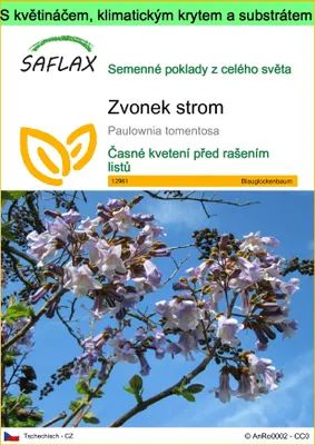 Obrázek produktu pro SAFLAX Garden to go - zvonek strom - Paulownia tomentosa - 200 Semena - S květináčem, klimatickou poklicí a pěstebním substrátem
