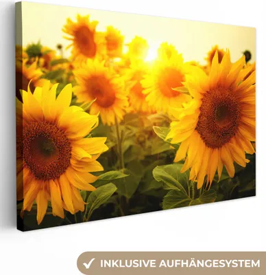 Produktbild von MuchoWow® - Leinwandbilder - Sonnenblume - Gelb - Blumen - Sonne, Wandbild, Wanddeko Bilder Wohnzimmer, 120x80 cm