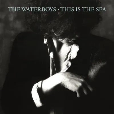 Produktbild von Waterboys,The-This Is The Sea (Collector's Edition