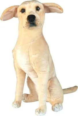 Immagine prodotto di Torte Labrador 65cm 33574