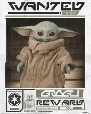 Image de Star Wars - Mini Poster - Le Mandalorien - Grogu Wanted + 1 Ü-Poster taille 61x91,5cm