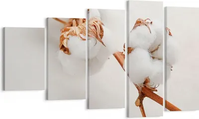 Produktbild von Bild auf Leinwand - Leinwandbild - 5 Teile - Baumwolle Makro Zweig - 100x60cm - Wand Bild - Wanddeko - Wandbilder - Leinwanddruck - Bilder - Wanddekoration - Leinwand bilder - Wandbild - EG100x60-4835