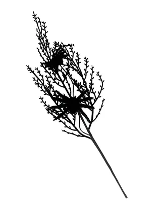 Produktbild von Dekorativer schwarzer Gothic Zweig mit 2 Spinnen 36 cm