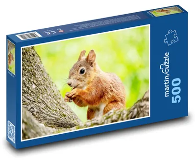 Obrázok produktu pre Puzzle 500 Veverička na strome - martinpuzzle