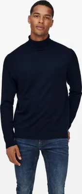 Produktbild von Rollkragen Pullover ONSWYLER |