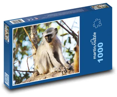 Zdjęcie produktu dla Puzzle 1000 Małpa w dżungli - martinpuzzle