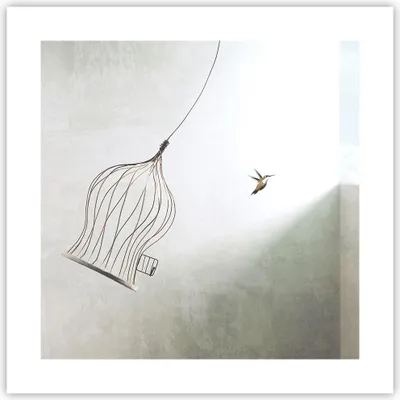 Produktbild von Poster - Poster ohne Rahmen - Flug Vogel Käfig - 40x40 cm - Wand Bild - Wanddeko - Wandbilder - Kunstposter - Wandposter - Bilder - Kunstdruck - Wanddekoration - Wandbild - P2XAC40x40-5085
