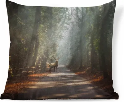 Produktbild von MuchoWow® Zierkissen Sofakissen Wohnzimmer Dekokissen 50x50 cm Hirsche - Wald - Sonnenstrahlen - Komfort - Sofakissen
