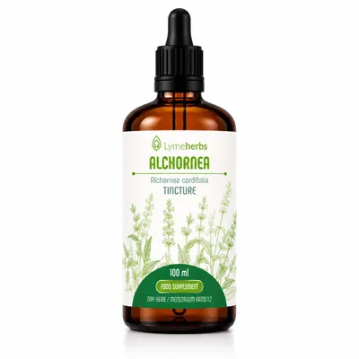 Produktbild von Alchornea-Tinktur 1:2 (100ml), KI-generiertes Bild