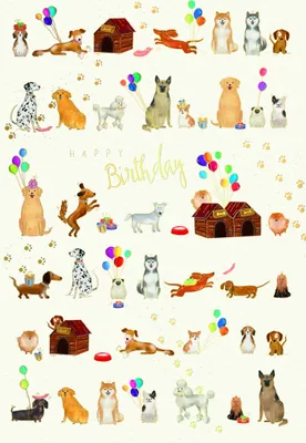 Produktbild von Geburtstag Skorpion´s art - Glückwunschkarten im Format 11,5 x 17 cm