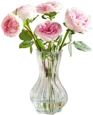 Image de Pots à fleurs en verre transparent, pots floraux en verre ultra-modernes, cruches décoratives en verre pour la décoration du salon, la décoration de tables de fête, la décoration de mariage, la salle à manger et le salon, la salle de bains, la décoration moderne des fenêtres (20,5 cm)