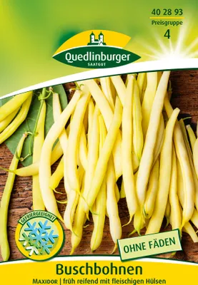 Produktbild von Buschbohne Maxidor | Buschbohnensamen von Quedlinburger