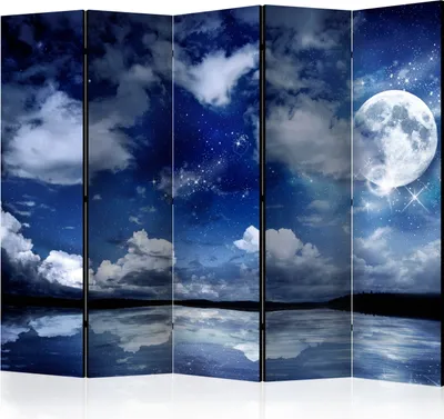 Produktbild von Akusticher Raumteiler Himmel Foto Paravent 225x172 cm beidseitig auf Vlies-Leinwand bedruckt Akustikschaum Trennwand Spanische Wand Sichtschutz Home Office Nacht Wolken Mond c-C-0249-z-c