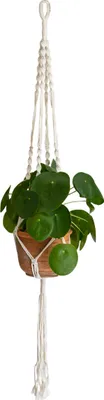 Produktbild von QUVIO Pflanzenaufhänger für Blumentopf - Hängender Blumentopf - Makramee-Pflanzenaufhänger - Indoor-Pflanzenaufhänger - Hängender Topf - Geflochtenes Seil mit Spiralen