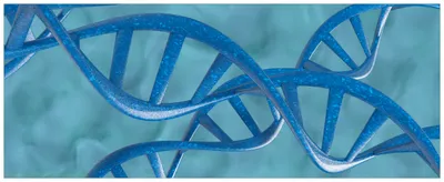 Produktbild von Wallario Premium Glasbild, freischwebende Optik, kräftige Farben, Größe 125 x 50 cm Motiv DNA-Strang in blau auf türkisem Hintergrund