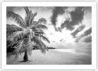 Produktbild von Poster - Poster ohne Rahmen - Monochrom Strand Wolken - 70x50 cm - Wand Bild - Wanddeko - Wandbilder - Kunstposter - Wandposter - Bilder - Kunstdruck - Wanddekoration - Wandbild - P2XAA70x50-4677