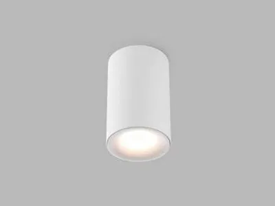 Obrázok produktu pre Stropné bodové LED svietidlo TUBUS C, Variant: biely, 3000K, 735lm