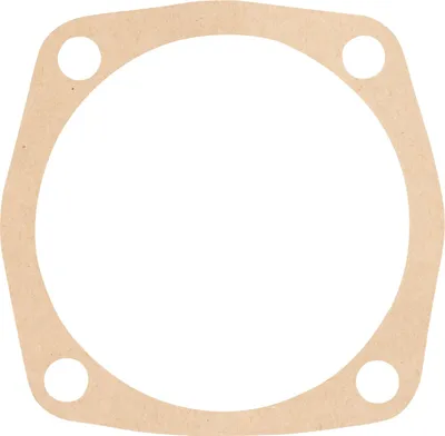 Image de Joint de pompe à eau 7770026