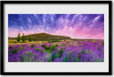 Produktbild von Bild 60x40 MDF-Rahmen Wandkunst Wiese Blumen Berge Natur