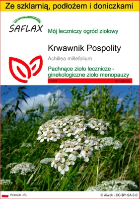 Zdjęcie produktu dla SAFLAX - Zestaw do uprawy - Krwawnik Pospolity - 200 Nasiona - Z mini szklarnią, podłożem uprawowym i 2 doniczkami - Achillea millefolium