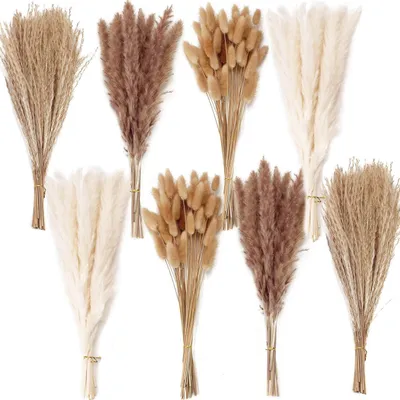 Produktbild von Trockenblumenstrauß mit Pampasgras 200 Stück Boho Deko für Zuhause Hochzeit Tischdekoration