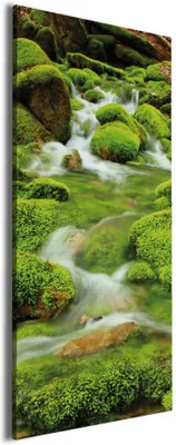 Produktbild von Wallario Premium Leinwandbild Moosiger Bach in Größe 30 x 75 cm