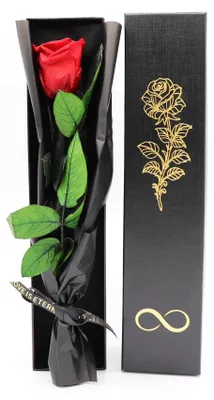 Ewige konservierte Rose, rot, 30-32 cm, natürliche Blume