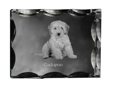 Zdjęcie produktu dla Art-Dog Ramka na zdjęcie – Cockapoo