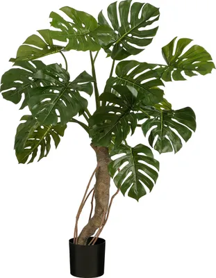 Obrázek produktu pro Mica Decorations Monstera - umělá rostlina - H135 x Ø100 cm - zelená