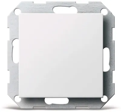 Immagine prodotto di Gira coperchio cieco rws-gl con anello di supporto 026803