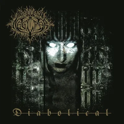 Image de Naglfar : Naglfar - Diabolical - - (LP / D)